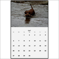 Calendar Printing Services