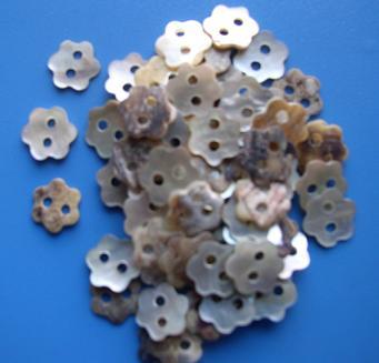 Shell Buttons