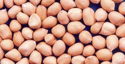 Indian Groundnuts