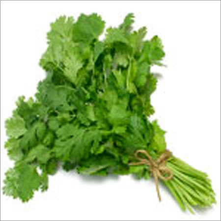 Coriander