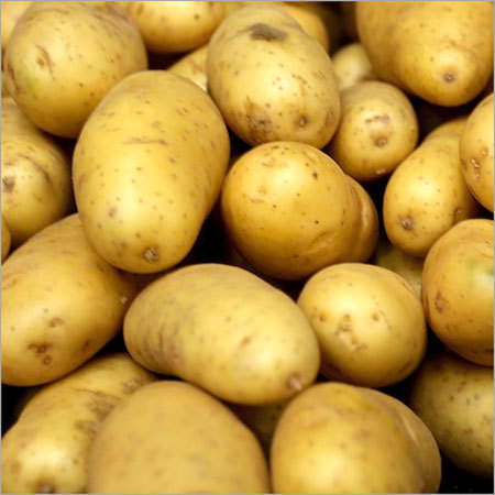 Potato