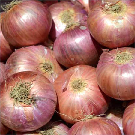 Big Onion