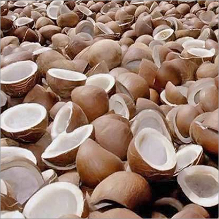 Coconut Copra