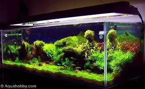 Modular Aquarium Tank