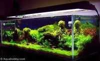 Modular Aquarium Tank