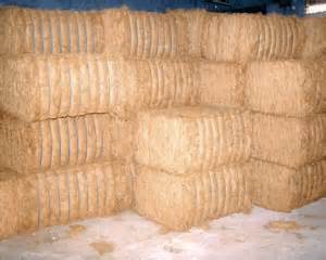 Coir Fibre Bale