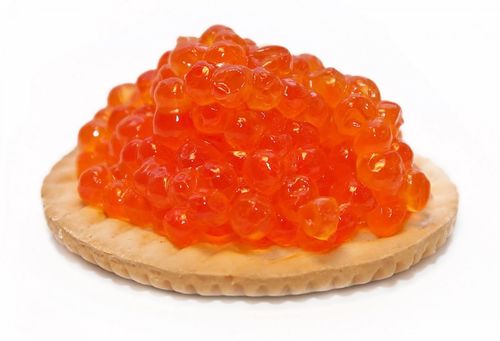 Frozen Salmon Caviar Fish