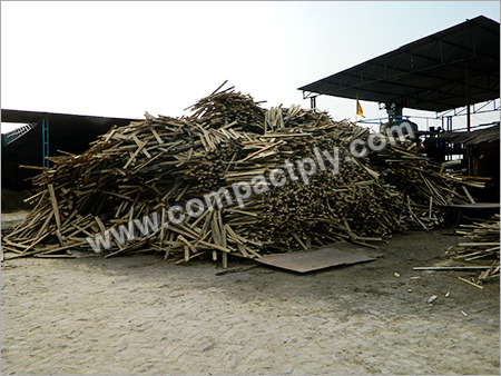 Timber Wood