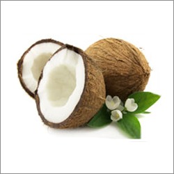 Coconut