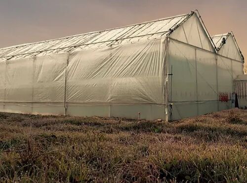 Professional Greenhouses Base Material: Steel