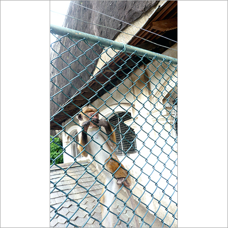 Electric Fence