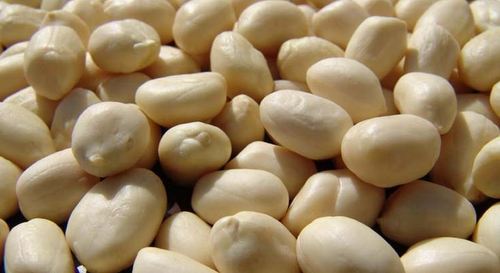 Blanched Peanuts