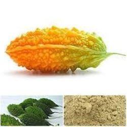 Bitter Melon Powder
