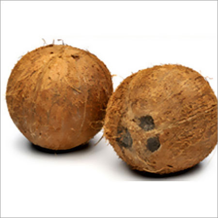 Coconuts