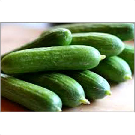 Cucumber