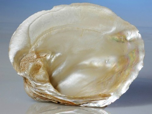 Mother Of Peral stone