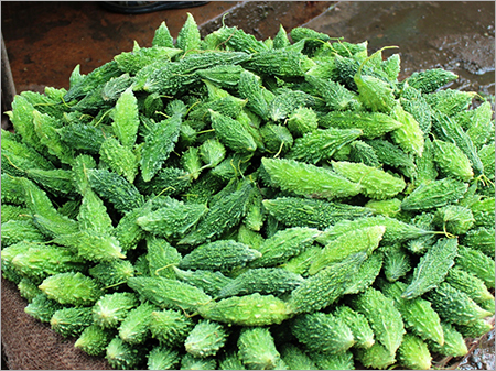 Bitter Gourd