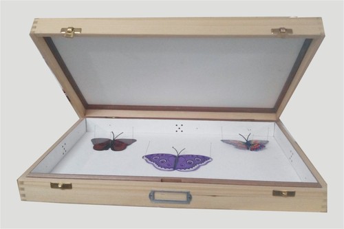 Insect Setting Box
