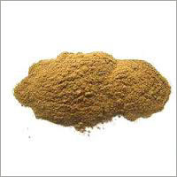Bacopa Monnieri Herb Extract