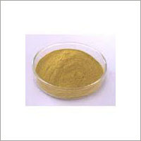 Phyllanthus Niruri Extract