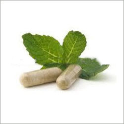 Citrullus Colocynthis Extract