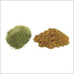 Acacia Arabica Extract