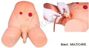 Male Catheterization Training Simulator