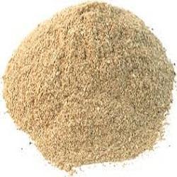 Dried Oyster Mushroom Powder