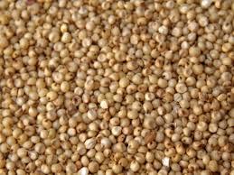 JOWAR