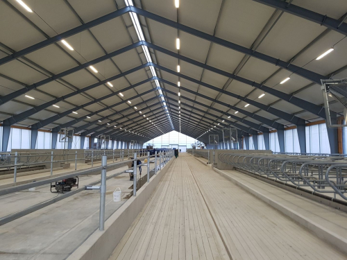 ABF Roof Insulation
