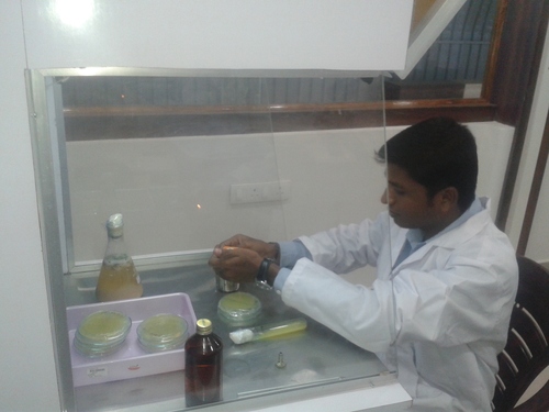 Sub culture in Laminar air flow chamber