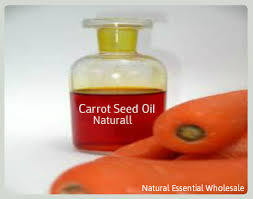 Carrot Seed Oil