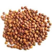 RED CHANA - Chickpea, Brown Color, Round Shape | High Protein, Rich Fiber, Versatile Use, Easy to Cook
