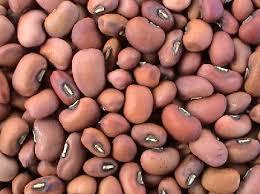 COW PEA WHOLE