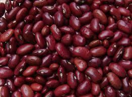 KIDNEY BEANS