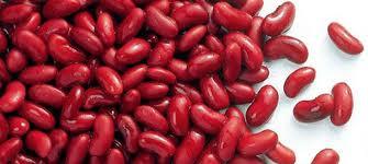 PULSES/DAL