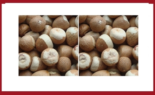 Jeeni Betel Nuts