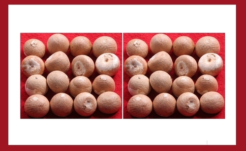 Sevardhan Betel Nuts
