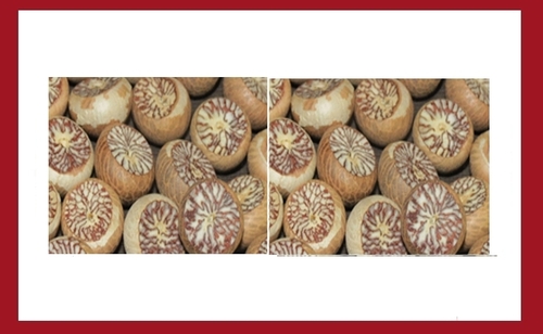 White Betel Nuts