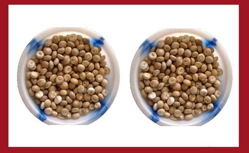 A3 Betel Nuts