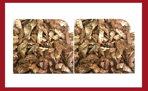 Sliced Betel Nuts