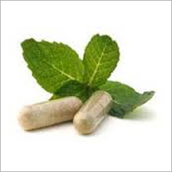 Holy Basil Capsules