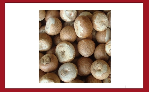 Whole Betel Nuts