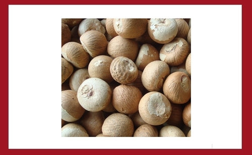 Whole Dried Areca Nut