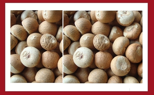 Whole Dried Betel Nuts