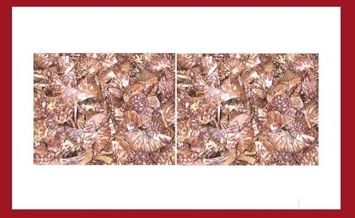 Diamond Cut Betel Nuts
