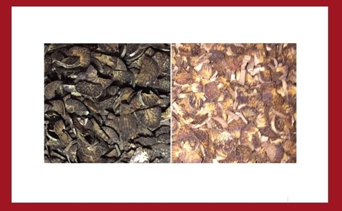 Roasted Cutting Betel Nuts