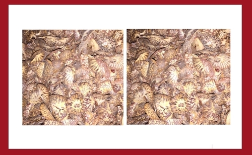 Roasted Cutting Supari