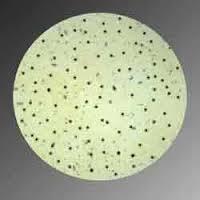GREEN CHILLI PAPAD