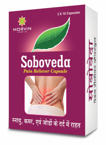 Pain Reliever Capsule - Herbal Blend of Natural Extracts Quick Action for Joint and Muscle Pain Relief | Non-Hazardous Suitable for Adults and Children